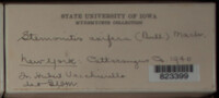 Image Associated With the Occurence